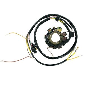 Ricks Motorsport Electric Polaris Stator 21-553-0