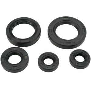Moose Oil Seal Set Honda TRX200 FourTrax 90-91 TRX200D FourTrax Type II 91-97
