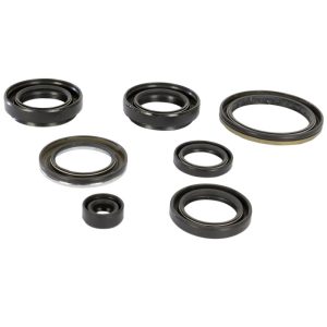 Moose Oil Seal Set Arctic Cat & Suzuki 400 2x4 Automatic FIS LTA400 KingQuad 2x4